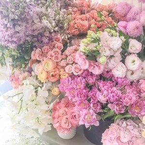 Meet your Posher, Christine